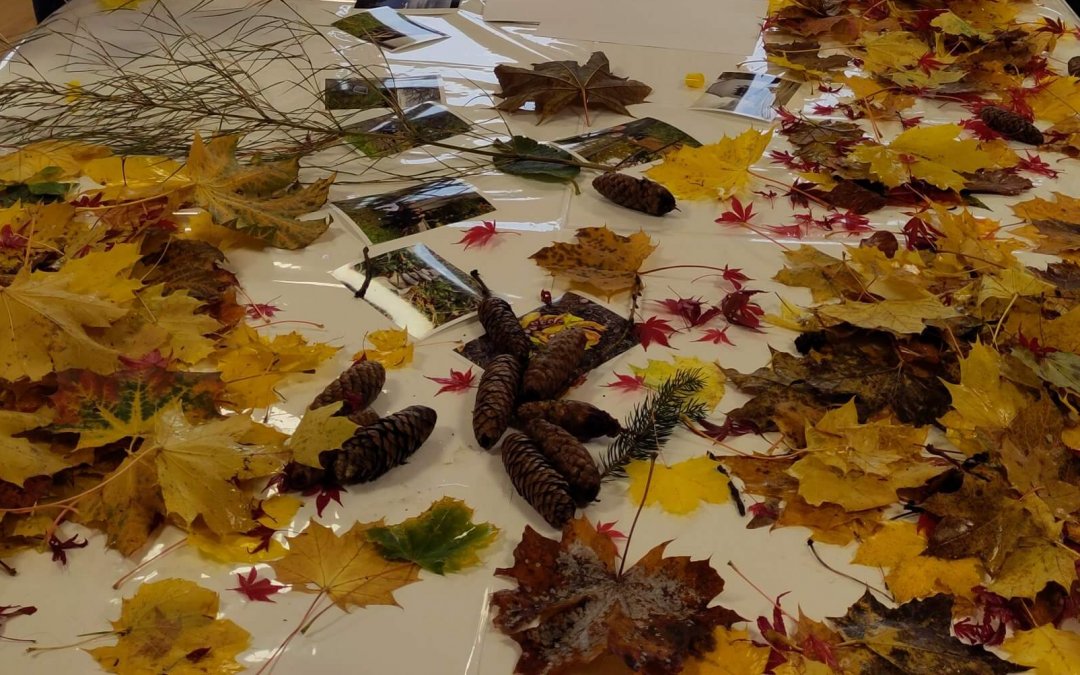 Memhölz – Tage für die Klimaschule