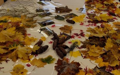 Memhölz – Tage für die Klimaschule