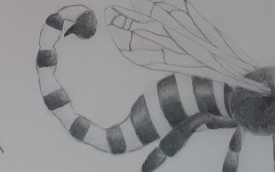 Kunstwerk des Monats – Februar 2026