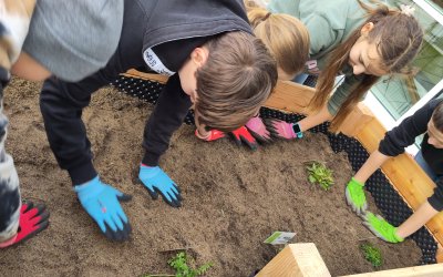 Es grünt so grün…